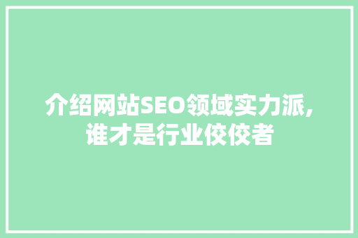 介绍网站SEO领域实力派,谁才是行业佼佼者