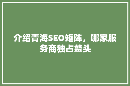 介绍青海SEO矩阵，哪家服务商独占鳌头