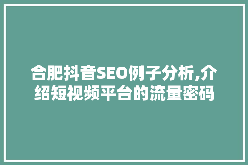合肥抖音SEO例子分析,介绍短视频平台的流量密码