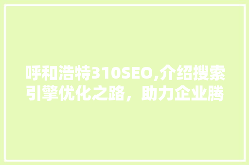 呼和浩特310SEO,介绍搜索引擎优化之路，助力企业腾飞