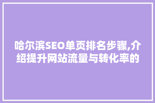 哈尔滨SEO单页排名步骤,介绍提升网站流量与转化率的方法