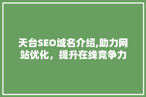 天台SEO域名介绍,助力网站优化，提升在线竞争力