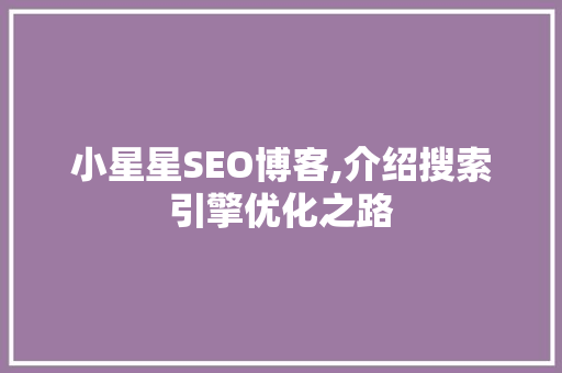 小星星SEO博客,介绍搜索引擎优化之路