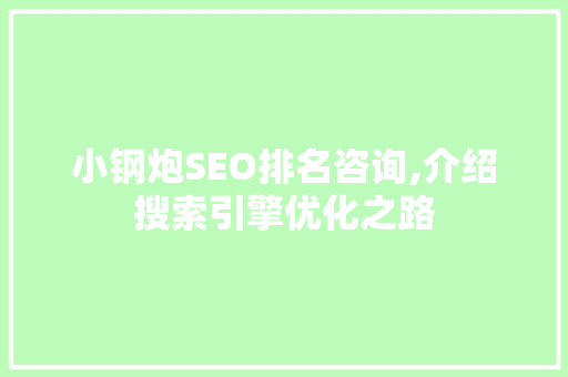 小钢炮SEO排名咨询,介绍搜索引擎优化之路