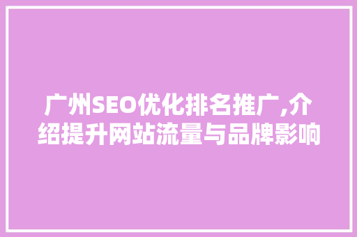 广州SEO优化排名推广,介绍提升网站流量与品牌影响力的方法