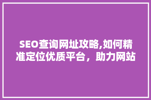 SEO查询网址攻略,如何精准定位优质平台，助力网站优化