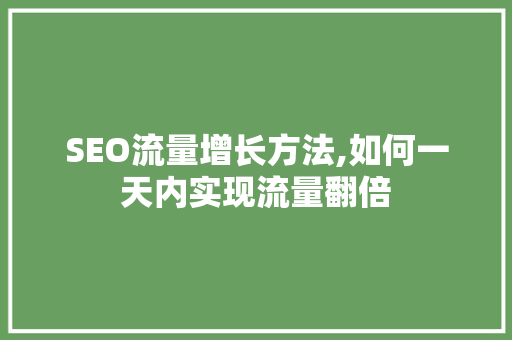 SEO流量增长方法,如何一天内实现流量翻倍