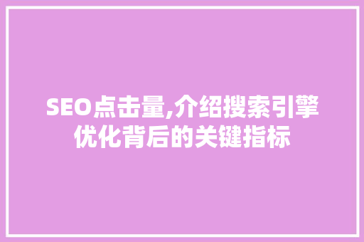 SEO点击量,介绍搜索引擎优化背后的关键指标
