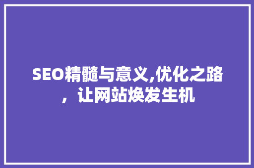 SEO精髓与意义,优化之路，让网站焕发生机