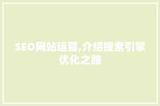 SEO网站运营,介绍搜索引擎优化之路  第1张