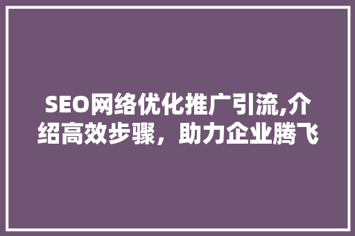 SEO网络优化推广引流,介绍高效步骤，助力企业腾飞  第1张
