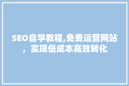 SEO自学教程,免费运营网站，实现低成本高效转化