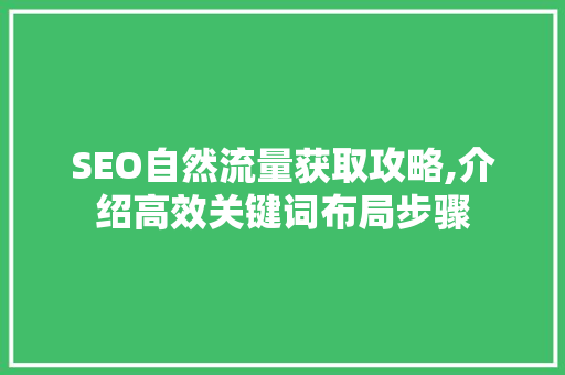 SEO自然流量获取攻略,介绍高效关键词布局步骤