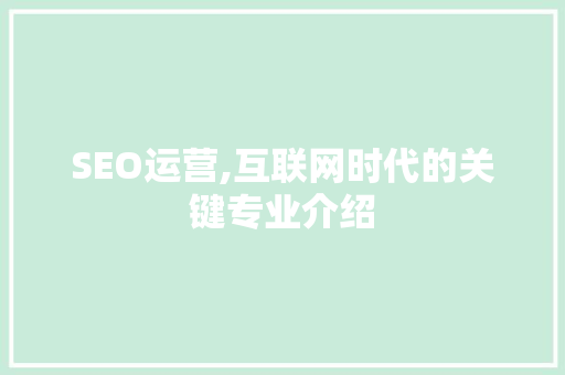 SEO运营,互联网时代的关键专业介绍