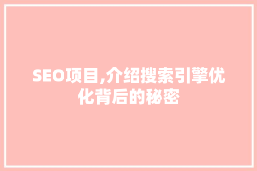 SEO项目,介绍搜索引擎优化背后的秘密