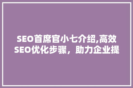 SEO首席官小七介绍,高效SEO优化步骤，助力企业提升网站排名