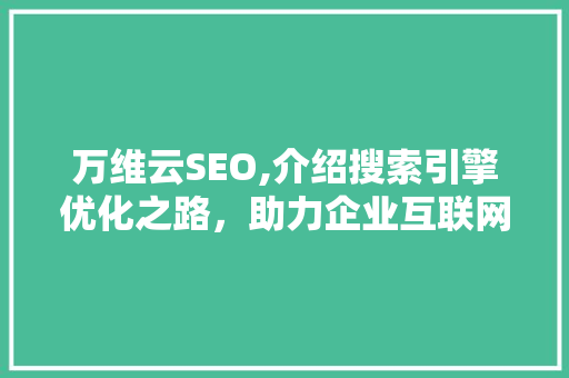万维云SEO,介绍搜索引擎优化之路，助力企业互联网营销