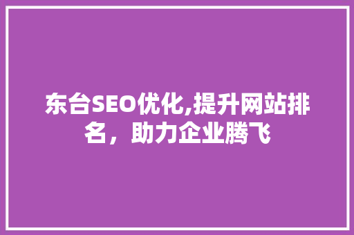 东台SEO优化,提升网站排名，助力企业腾飞
