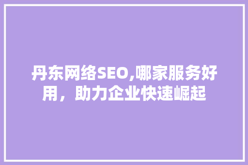 丹东网络SEO,哪家服务好用，助力企业快速崛起