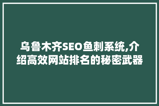 乌鲁木齐SEO鱼刺系统,介绍高效网站排名的秘密武器