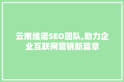 云南维诺SEO团队,助力企业互联网营销新篇章