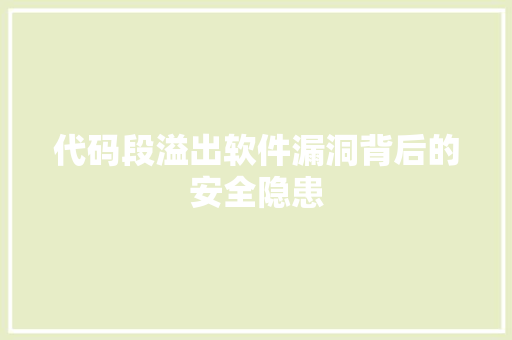 代码段溢出软件漏洞背后的安全隐患