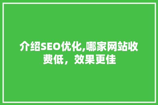 介绍SEO优化,哪家网站收费低，效果更佳