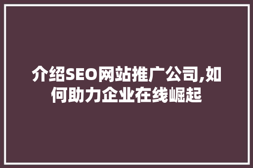 介绍SEO网站推广公司,如何助力企业在线崛起