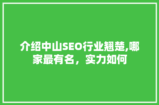 介绍中山SEO行业翘楚,哪家最有名，实力如何