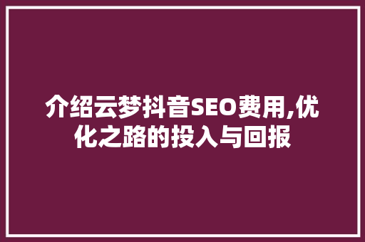 介绍云梦抖音SEO费用,优化之路的投入与回报