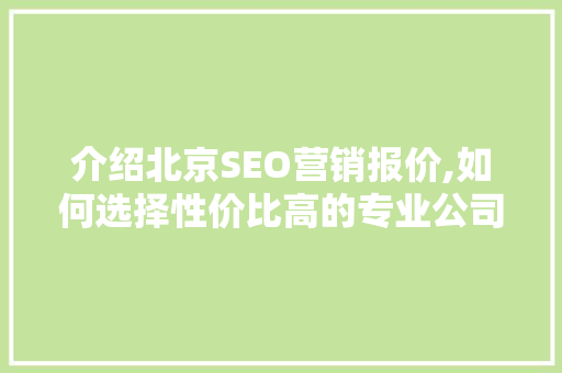 介绍北京SEO营销报价,如何选择性价比高的专业公司