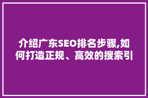 介绍广东SEO排名步骤,如何打造正规、高效的搜索引擎优化