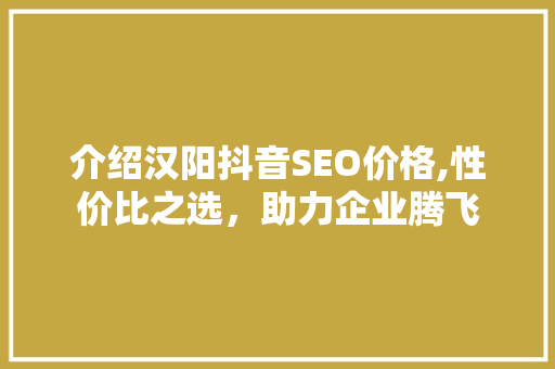 介绍汉阳抖音SEO价格,性价比之选，助力企业腾飞