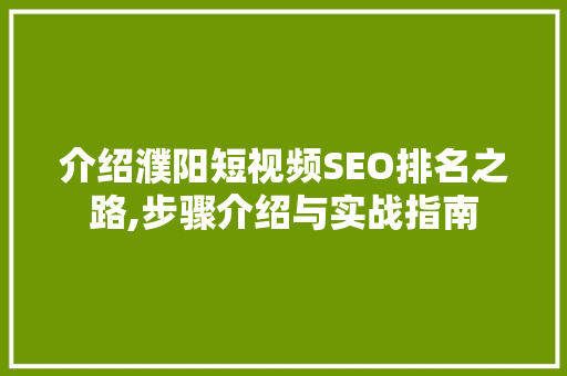 介绍濮阳短视频SEO排名之路,步骤介绍与实战指南