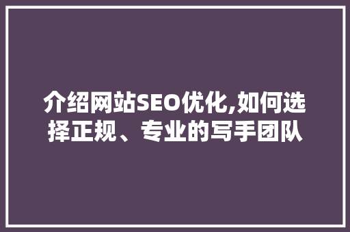 介绍网站SEO优化,如何选择正规、专业的写手团队
