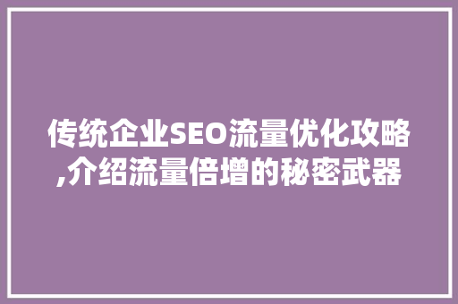 传统企业SEO流量优化攻略,介绍流量倍增的秘密武器
