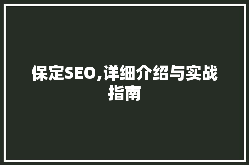 保定SEO,详细介绍与实战指南