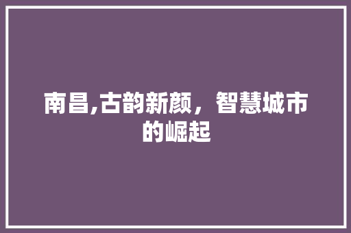 南昌,古韵新颜，智慧城市的崛起
