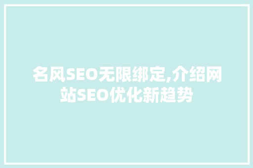 名风SEO无限绑定,介绍网站SEO优化新趋势