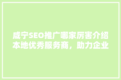 咸宁SEO推广哪家厉害介绍本地优秀服务商，助力企业网络营销