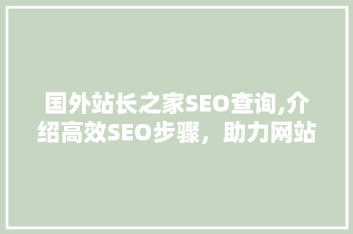 国外站长之家SEO查询,介绍高效SEO步骤，助力网站优化之路