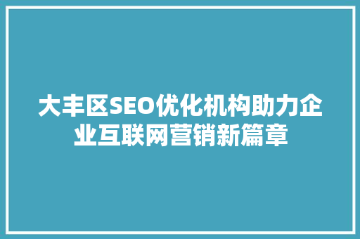 大丰区SEO优化机构助力企业互联网营销新篇章