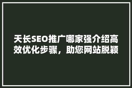 天长SEO推广哪家强介绍高效优化步骤，助您网站脱颖而出！
