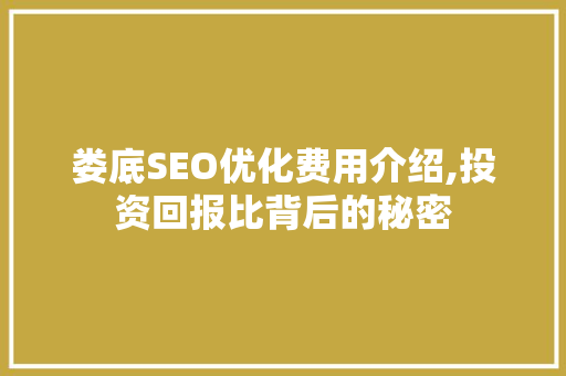 娄底SEO优化费用介绍,投资回报比背后的秘密
