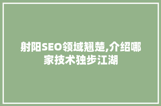 射阳SEO领域翘楚,介绍哪家技术独步江湖