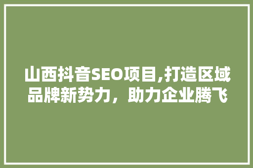 山西抖音SEO项目,打造区域品牌新势力，助力企业腾飞