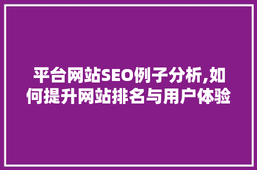 平台网站SEO例子分析,如何提升网站排名与用户体验