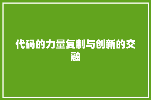 代码的力量复制与创新的交融