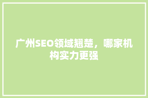广州SEO领域翘楚，哪家机构实力更强
