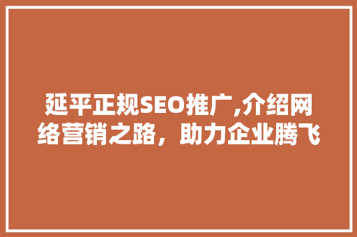延平正规SEO推广,介绍网络营销之路，助力企业腾飞